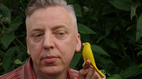 Stuart Nolan's Ideobird