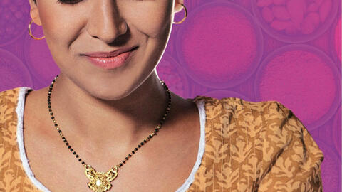 Nimrat Kaur stars in The Lunchbox, opening at Watershed on Fri 11 April