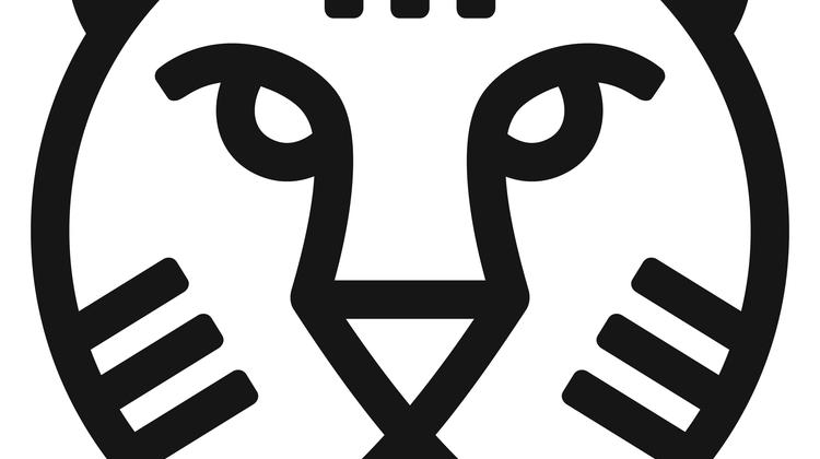 IFFR Tiger