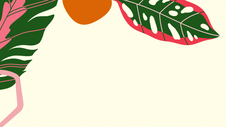 Illustration of colourful plant leaves