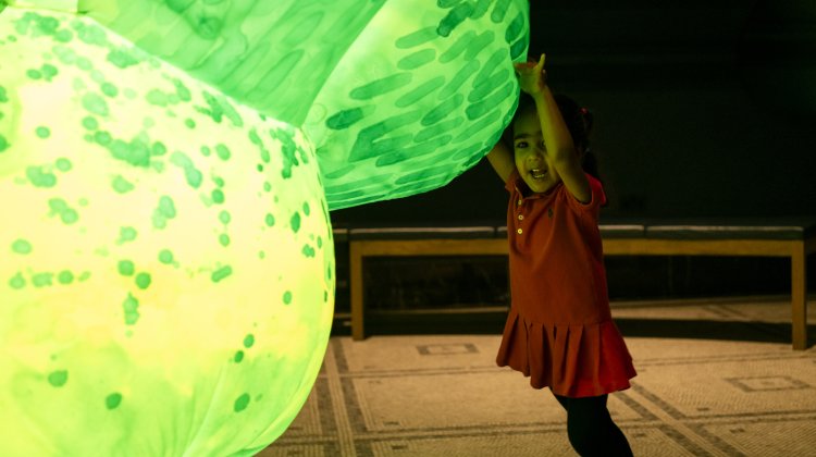 A young child is grinning and playing with a large inflatable lit up plant.