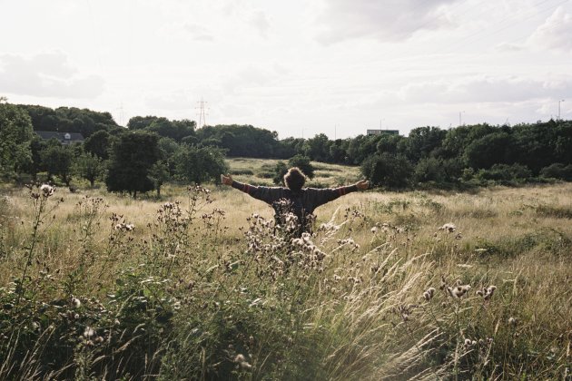Film still from Bird