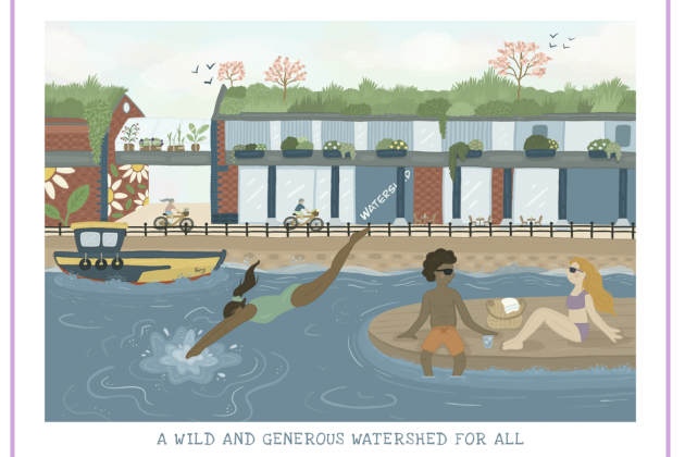 Illustration of Watershed with greenery growing on the roof, and swimmers on a platform in the water.