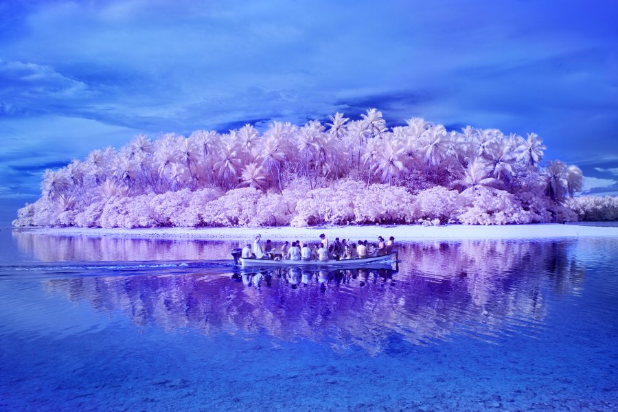 A rowing boat full of passengers nears a small desert island. The colours are fluorescent