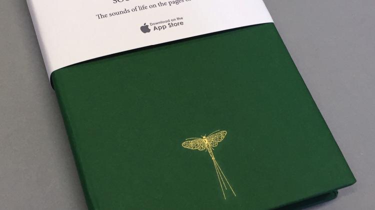 Mayfly Jotter Mayfly Jotter