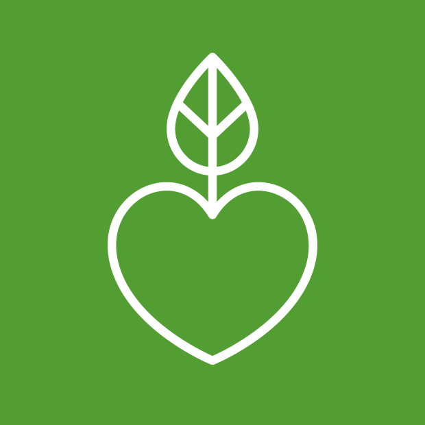 A line drawning illustration of a heart with a leaf-like stem on a green backdrop