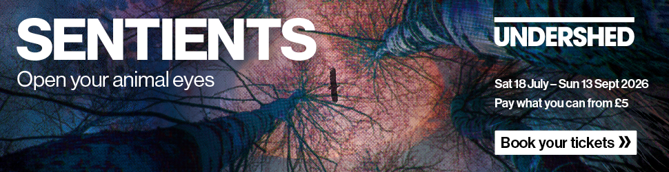 SENTIENTS at Undershed. Sat 18 July - Sun 13 Sept 2026. Pay what you can from 5. Book tickets.