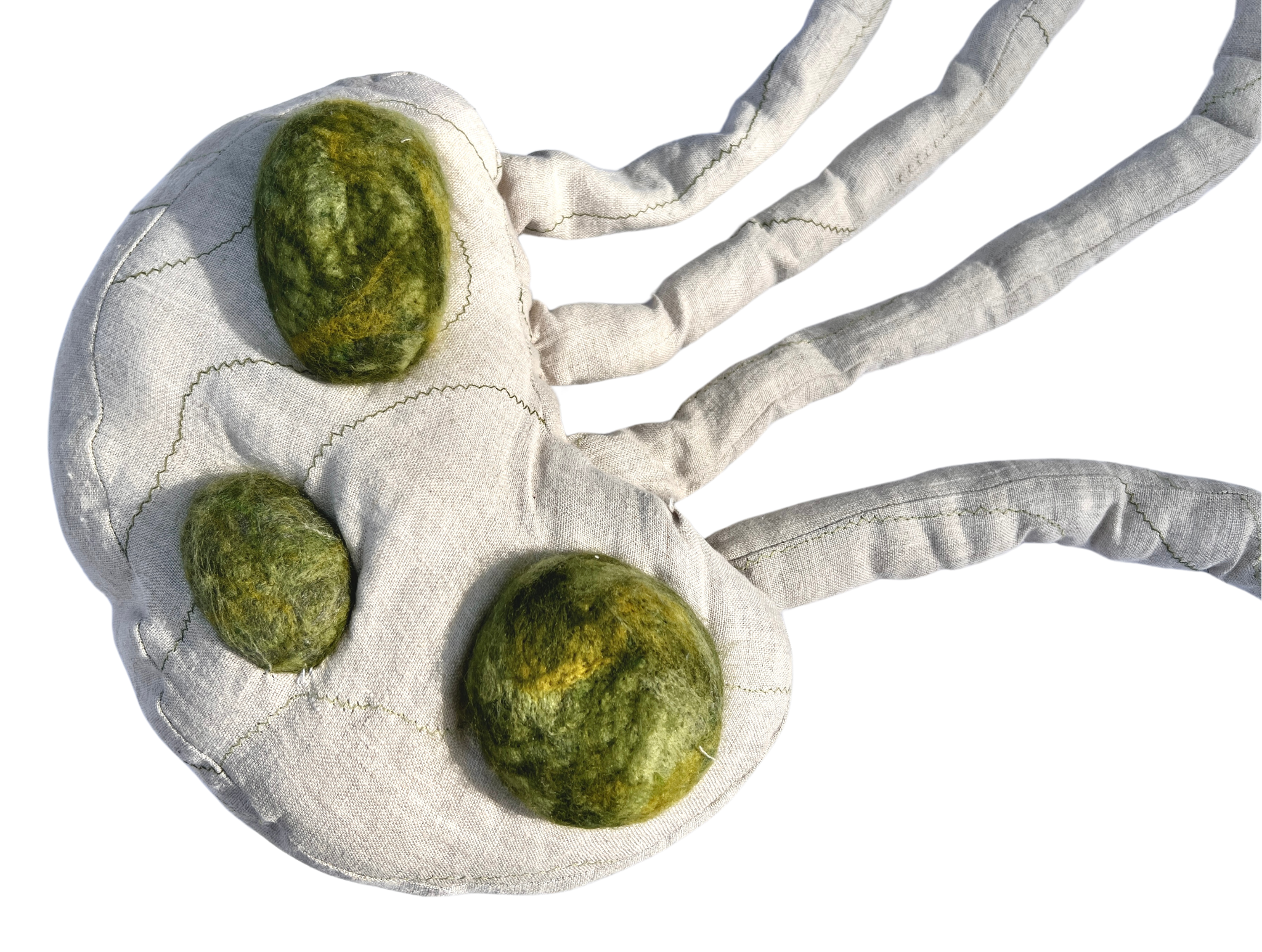 An off white textile being in a bean shape with three smaller circular green felted shapes on its surface. It has 4 tubes in matching fabric coming off the side to the right