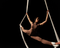 Image of a person in a brown suit, holding ropes.