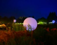 Image of Between Stillness and Storm, an installation by Aidan Moesby