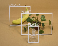 A banana, plant and flask with white plastic borders, laid out upon a sepia brown background.