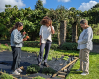 An image of three young people at an allotment, looking down at a plot of land against a tranquil backdrop of greenery and a clear blue sky.