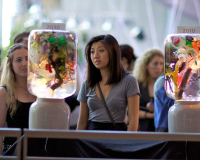 Two women look at an art installation - a collection of diverse plants in a terrarium, situated in a large convention space. 