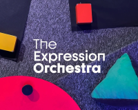 The Expression Orchestra - Pyka