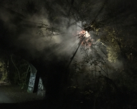 An image of a dark landscape, evocative of a forest, with a light poking through the trees, much like pale moonlight. 