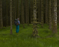 An image of a hiker in a dark forest. The hiker has paused to listen to the sounds of the forest, ostensibly in the middle of a long journey.