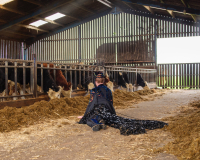 An image of a person adorned in all black, with a cape-like garment at the back, lying semi prone on the floor of a barn in a farm. The cape-like element of their outfit is decorated with multi coloured trinkets of varying materials. In the background of the image, cows in a paddock can be seen, with the space illuminated by natural light coming through the entrance to the right of the image. 