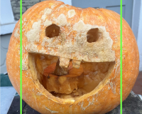 An image of a pumpkin, with a jolly face carved into it. The pumpkin is slightly degraded, and has a wide smile with two teeth. The face is framed by a green square, as the pumpkin has been recognised by a digital facial recognition software - the software reads the pumpkin's expression as "impressed."