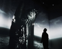 The Whale - Credit_ Sung Hoon Song