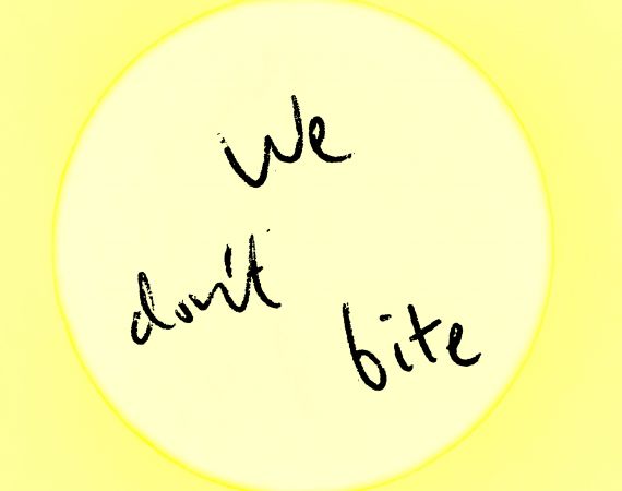 A yellow square with a lighter yellow circle in the centre, with text that reads 'We don't Bite'