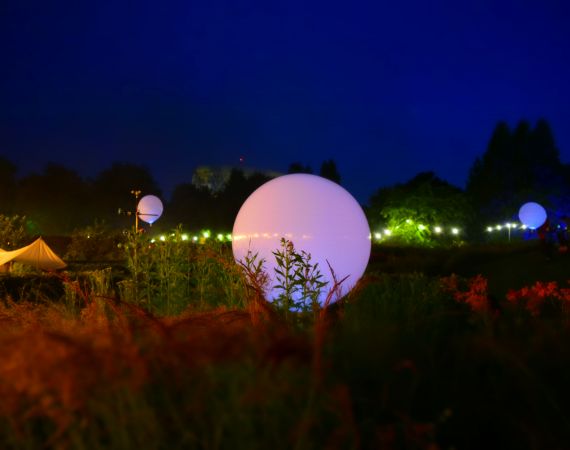 Image of Between Stillness and Storm, an installation by Aidan Moesby