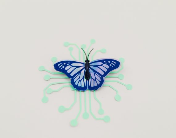 CCO image from Tara Winstead
