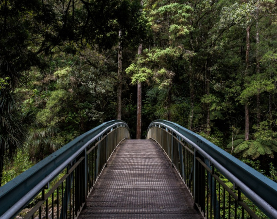 An image of a bridge running through the middle of a forest