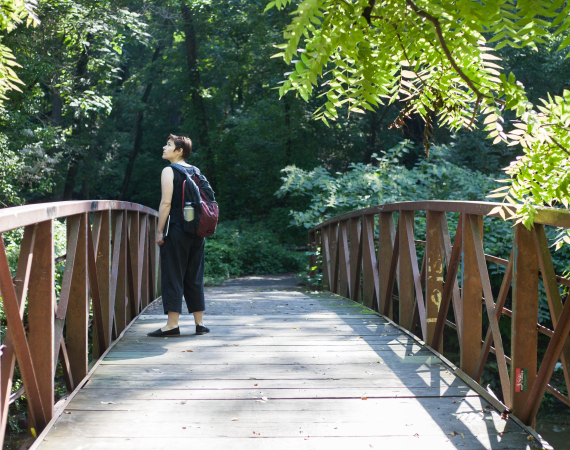 An image of a person on a wooden bridge amidst a lush green woodland. They are looking off into the distance, immersed in the scene. 