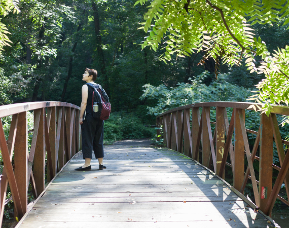 An image of a person on a wooden bridge amidst a lush green woodland. They are looking off into the distance, immersed in the scene.