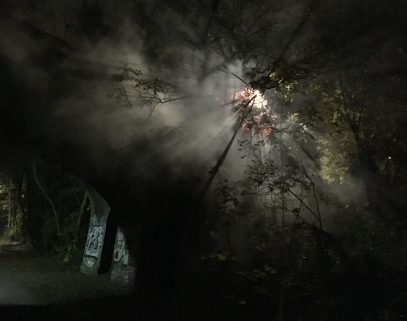 An image of a dark landscape, evocative of a forest, with a light poking through the trees, much like pale moonlight.
