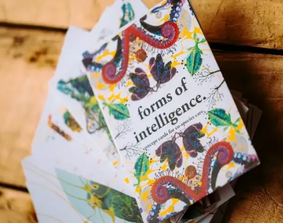 An image of the Forms of Intelligence Booklet on a wooden table