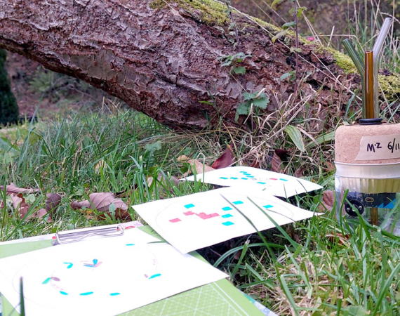 An image of various diagrams on paper, resting on a grassy area beneath the trunk of a tree. 