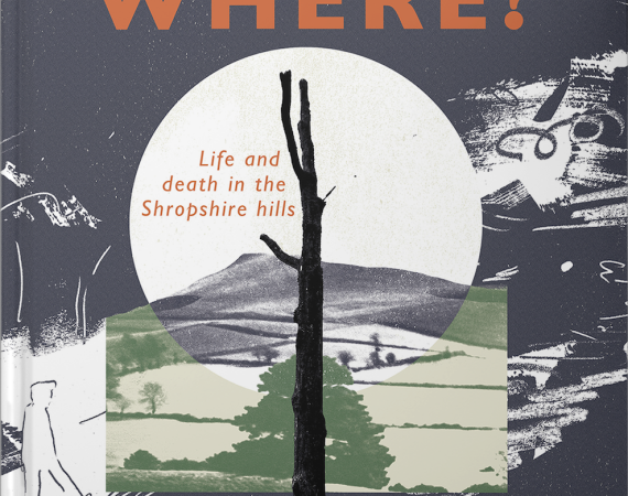 An image of the front cover of Simon Moreton's book, Where? The image depicts a collaged landscape evocative of the English countryside, with a dead tree, rendered in deep black, at its centre.