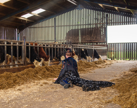 An image of a person adorned in all black, with a cape-like garment at the back, lying semi prone on the floor of a barn in a farm. The cape-like element of their outfit is decorated with multi coloured trinkets of varying materials. In the background of the image, cows in a paddock can be seen, with the space illuminated by natural light coming through the entrance to the right of the image. 
