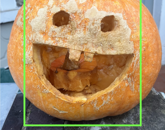 An image of a pumpkin, with a jolly face carved into it. The pumpkin is slightly degraded, and has a wide smile with two teeth. The face is framed by a green square, as the pumpkin has been recognised by a digital facial recognition software - the software reads the pumpkin's expression as "impressed."