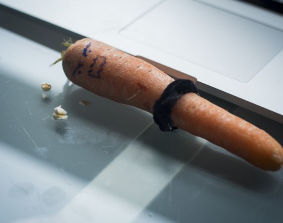 Black belt carrot