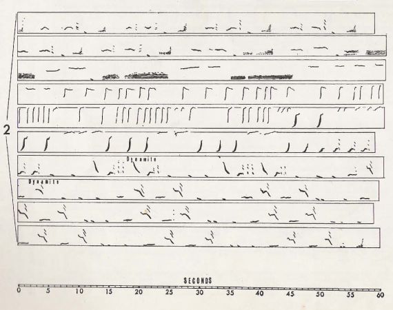 roger payne whalesong annotation