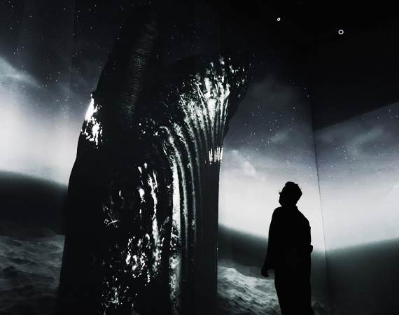 The Whale - Credit_ Sung Hoon Song