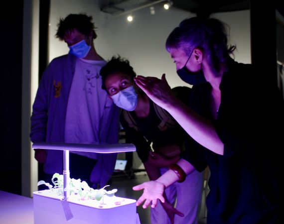 Photo of three people wearing masks next to Katy Connor's HydroPoetics installation