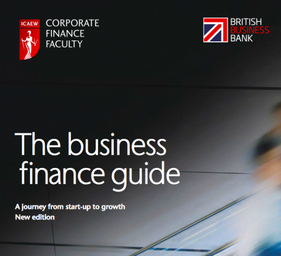 The Business Finance Guide - A Journey From Start-Up to Growth
