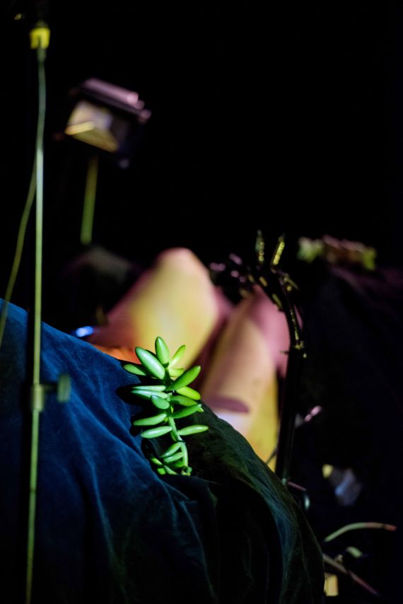 A person is lying down with just their legs visible. Their feet are in the distance and obscured by darkness. They are wearing a blue dress and have a bright green succulent plant on their lap